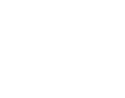 Mega Lite Logo